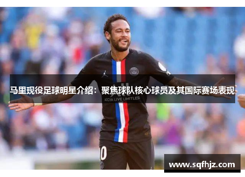 马里现役足球明星介绍：聚焦球队核心球员及其国际赛场表现