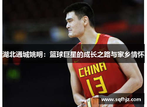 湖北通城姚明：篮球巨星的成长之路与家乡情怀