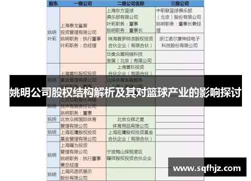 姚明公司股权结构解析及其对篮球产业的影响探讨